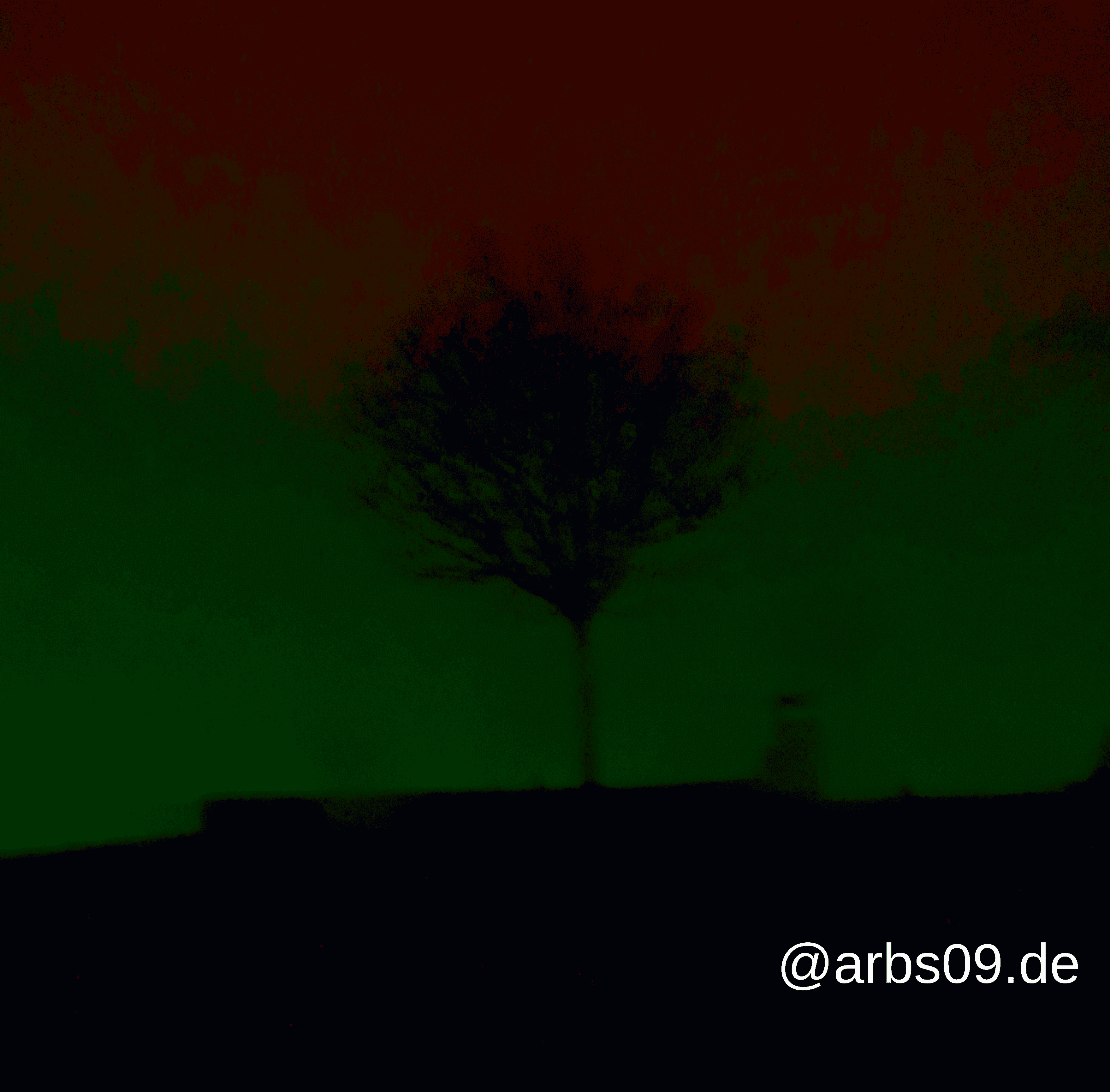 Baum auf Berg 8