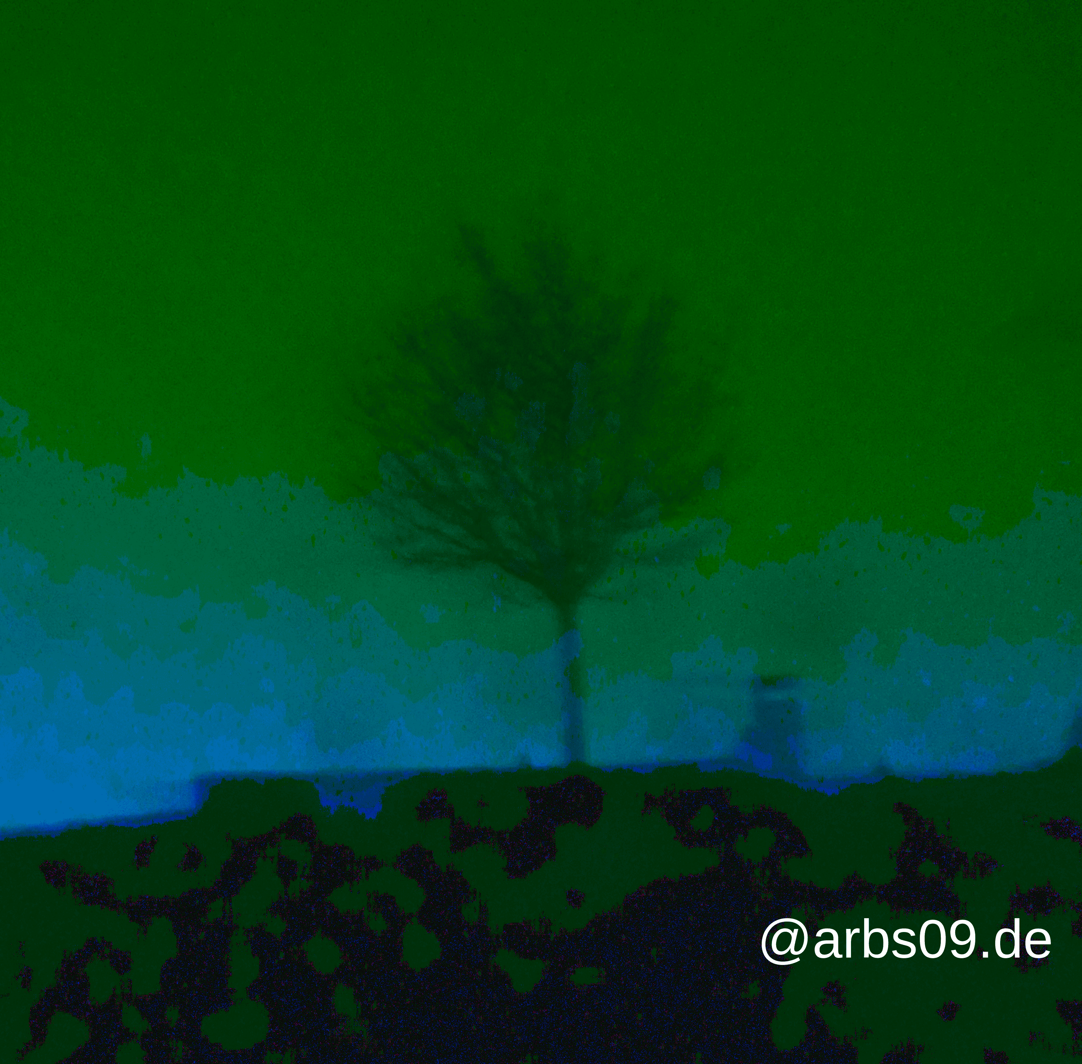 Baum auf Berg 9