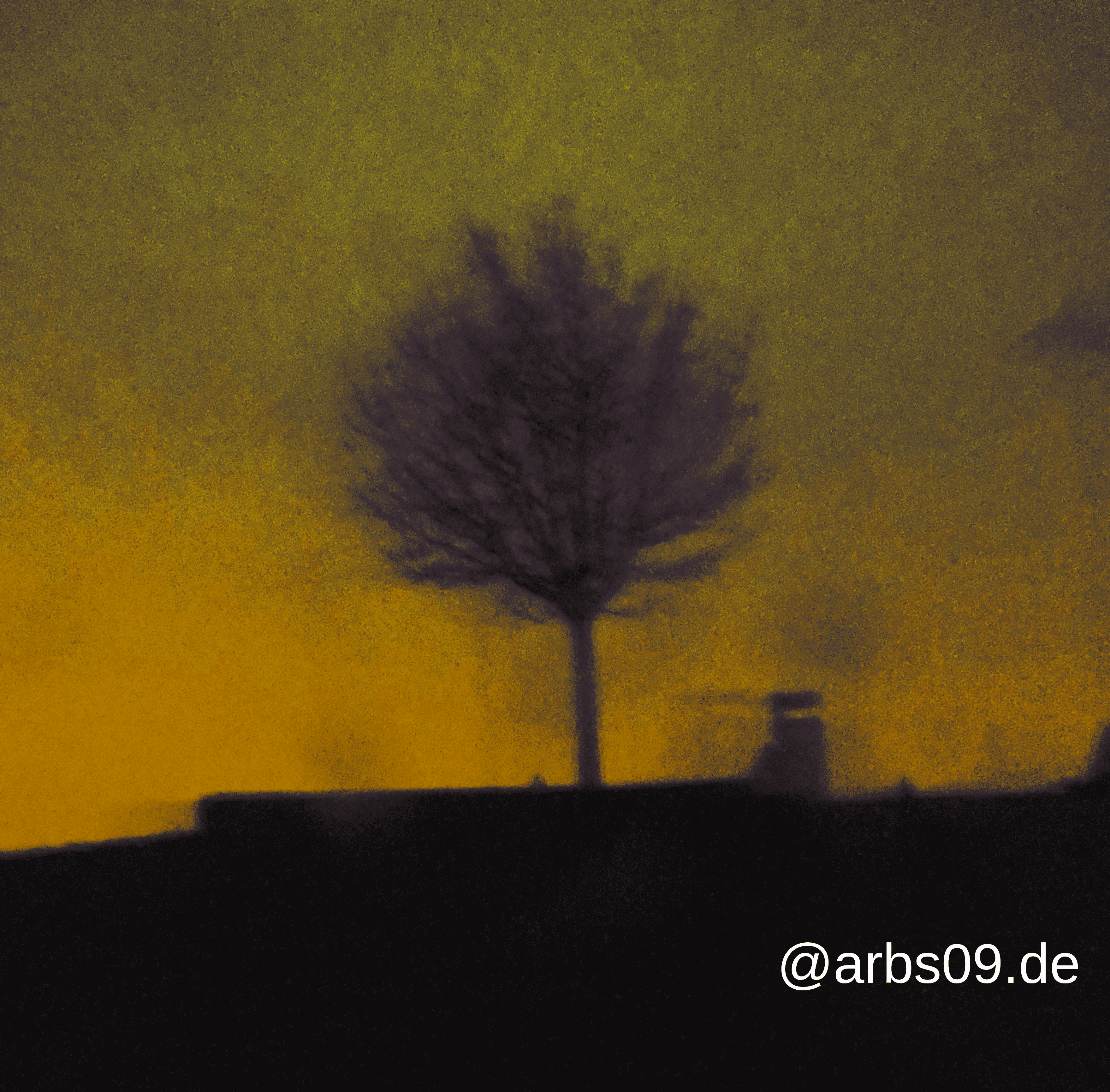 Baum auf Berg 5